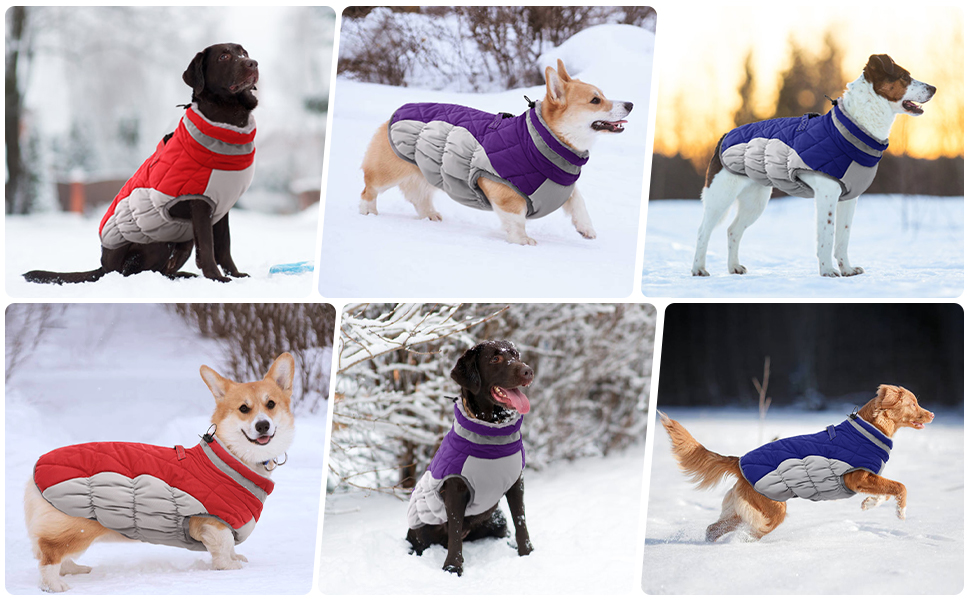 Chaleco acolchado, abrigo de invierno reflectante para perros, chaqueta cálida a prueba de viento para perros, GRDAC-8